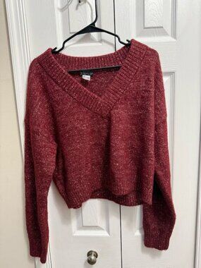 Cropped V-Neck Sweater